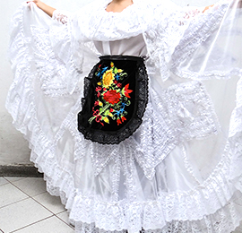 Vestido típico de Veracruz profesional